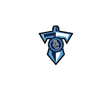 [CUS-STK-VC-3IN-LOGO1] Team Stickers (3in, Logo 1)
